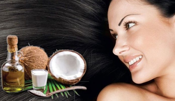 Hair Care: बालों की देखभाल के लिए ऐसे करें नारियल तेल का इस्तेमाल, कुछ ही दिनों में बालों को बना देगा काला घना और मजबूत