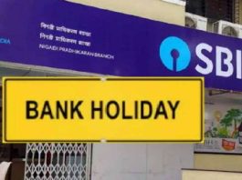 Bank Holidays December 2024: दिसंबर में बैंकों में रहेगी लंबी छुट्रटी, कुल 17 दिन बंद रहेंगे बैंक, चेक लिस्ट