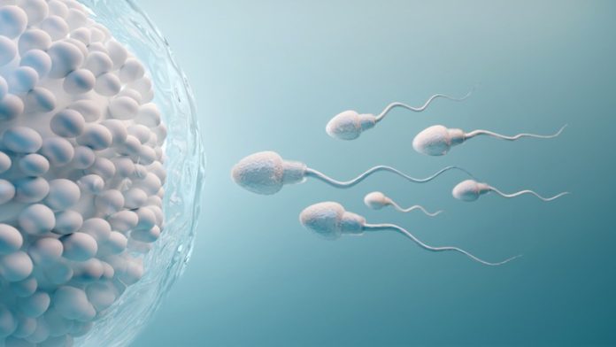 Sperm Count : भारतीय पुरुषों में जानिए किस वजह से घट रहा स्पर्म काउंट? जानिए एक्सपर्ट्स की राय