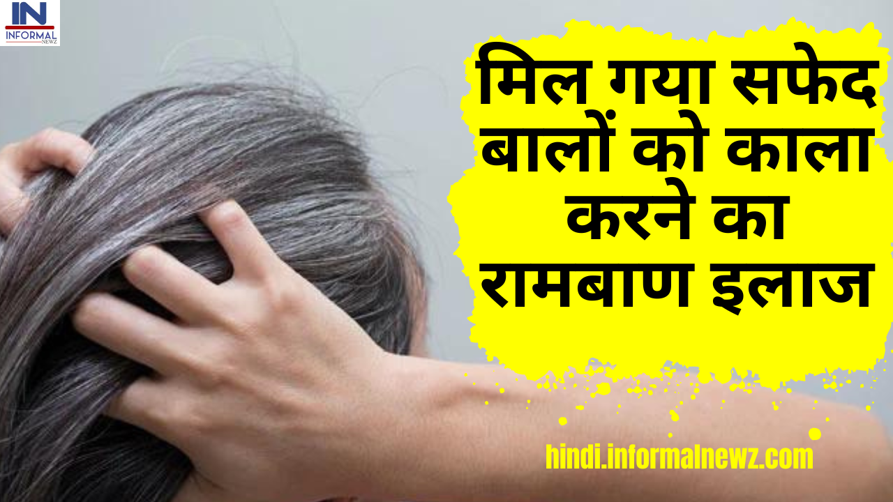 मिल गया सफेद बालों को काला करने का रामबाण इलाज, नेचुरल डाई बनाकर इस तरह  करें इसका इस्तेमाल - हिन्दी समाचार, Hindi breaking news, Latest hindi news  - Informalnewz hindi