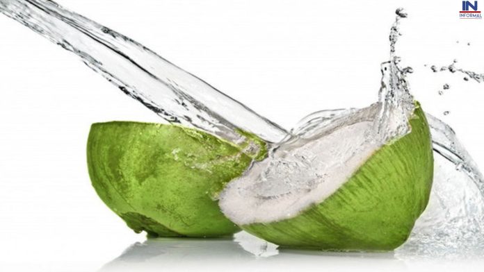 Coconut Water Benefits: नारियल पानी रोजाना पीने से वजन कम ही शरीर को होते हैं अनेक लाभ