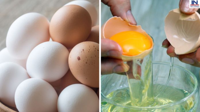 How To Check Eggs Freshness: 