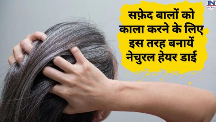 White Hair Solution: सफ़ेद बालों को काला करने के लिए इस तरह बनायें नेचुरल हेयर डाई, बालों की समस्या से मिल जायेगा छुटकारा