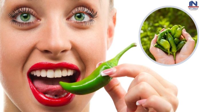 Green Chilli Benefits: हरी मिर्च खाने से होता है लाखों का फायदा, जानकर भूल जाएंगे तीखापन