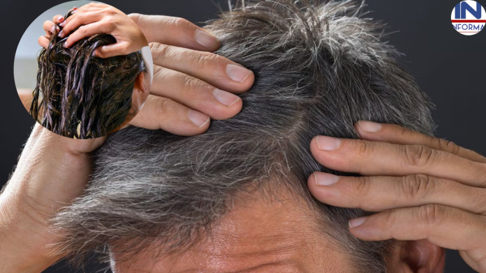 NEW Hair Care Tips : बालों की हर समस्या का समाधान है ये चार घरेलू चीजें, बाल हो जायेंगे हेल्दी और शाइनी