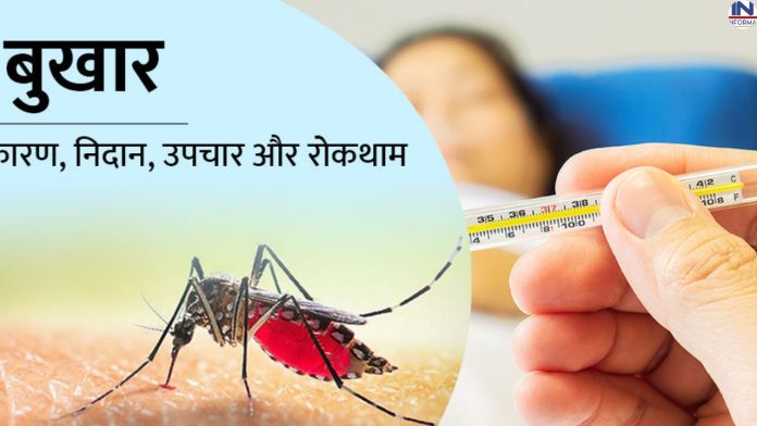 Dengue Fever: Home remedies to eliminate dengue fever from the root, know how long the risk of dengue fever lasts