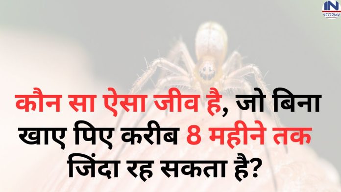 Quiz in hindi : क्या आप जानते हैं? कौन सा ऐसा जीव है, जो बिना खाए पिए करीब 8 महीने तक जिंदा रह सकता है?