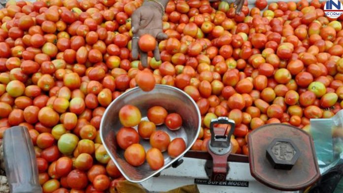 Tomato Price created another record : 20-30 बल्कि पूरे 162 रूपये किलो बिक रहा है टमाटर