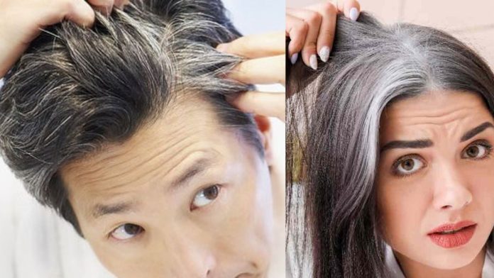 Grey Hair Problem : बालों को सफेद होने से कैसे रोकें? आजमाइये ये घरेलू नुस्खा, सप्ताह के अंदर नजर आएगा फर्क
