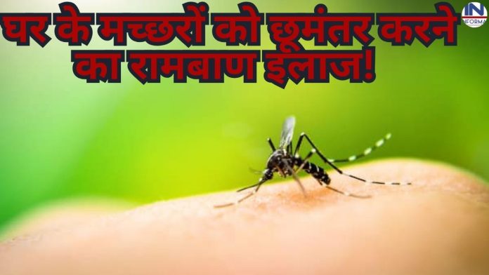 Mosquitoes Home Remedies: घर के मच्छरों को छूमंतर करने का रामबाण इलाज! आज ही अपनायें ये 4 घरेलू उपाय