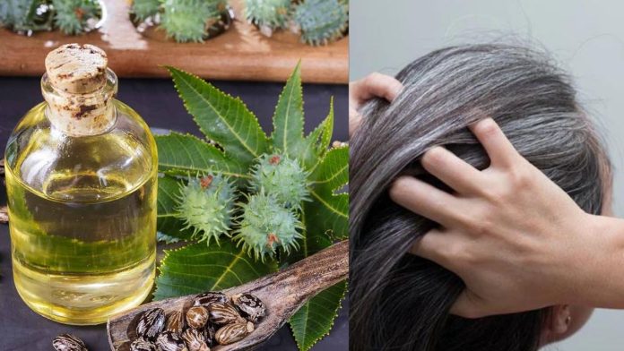 Castor oil is no less than a panacea for gray hair, know how to use it