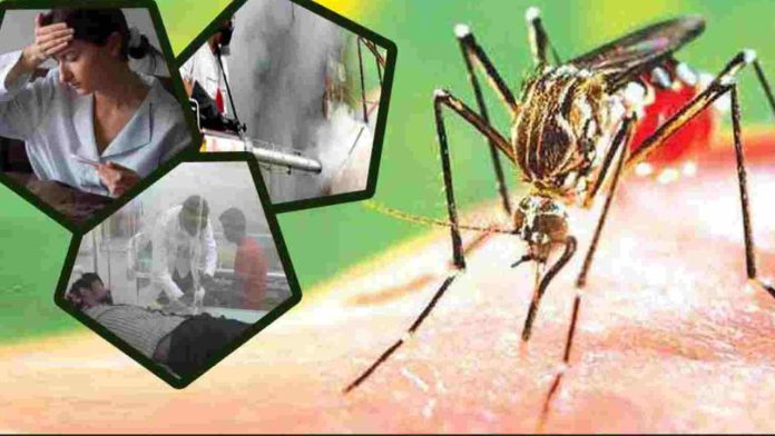 HEALTH TIPS: These symptoms are signs of dengue, even headache and weakness, know the panacea for dengue from Swami Ramdev.