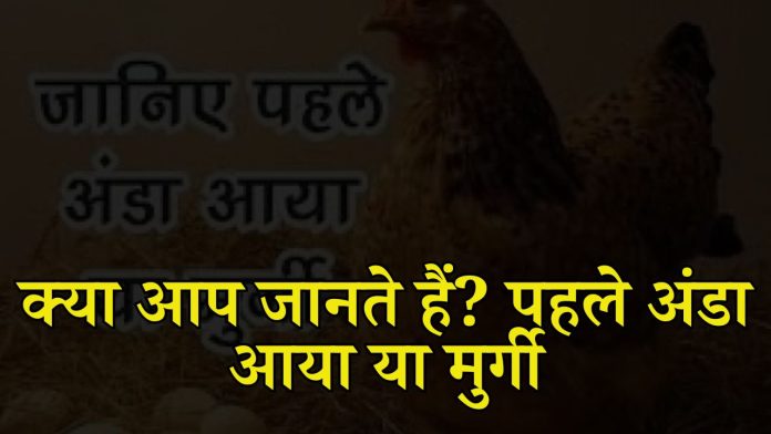 Do you know? Did the egg come first or the chicken, scientists found the answer to this question, see which came first.