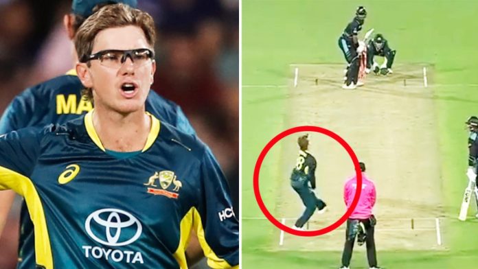 AUS vs NZ T20 : एडम जंपा की कातिलाना गेंदबाजी के आगे कीवी टीम तास के पत्तों की तरह बिखरी