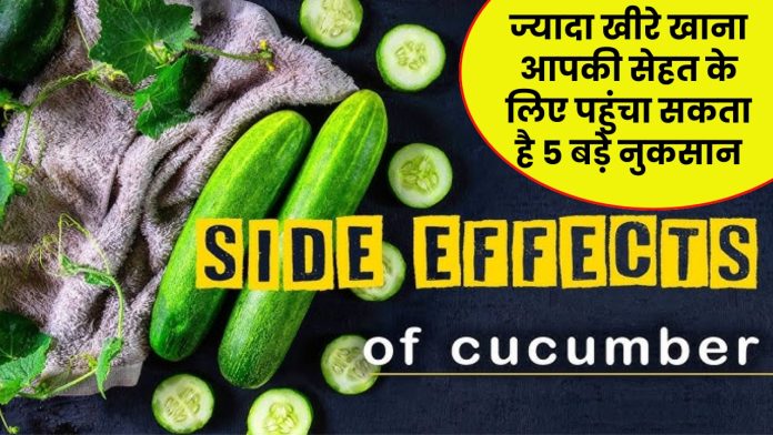 Cucumber Side Effects: खाने से पहले सावधान! ज्यादा खीरे खाना आपकी सेहत के लिए पहुंचा सकता है 5 बड़े नुकसान, तुरंत जान लें