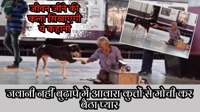 Mochi dog love viral video