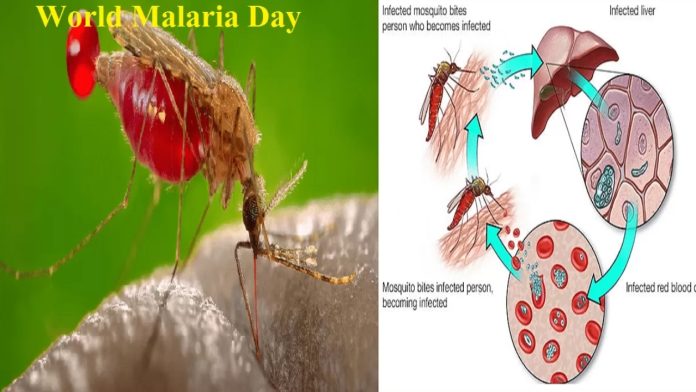 World Malaria Day 2024: 