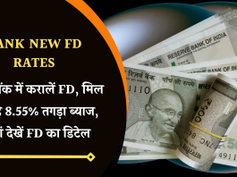 Bank New FD Rates: इस बैंक में करालें FD, मिल रहा है 8.55% तगड़ा ब्याज, यहां देखें FD का डिटेल