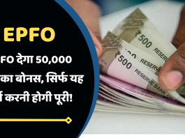 EPFO देगा 50,000 रुपये का बोनस, सिर्फ यह शर्त करनी होगी पूरी