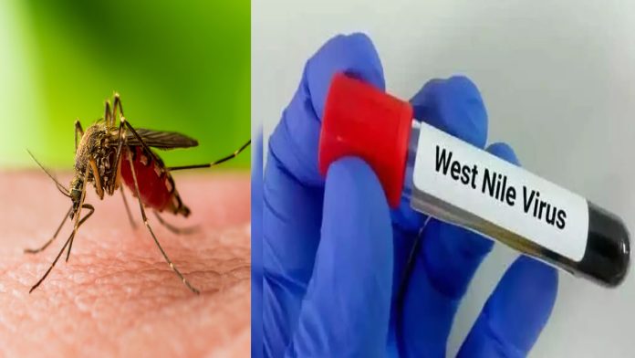 West Nile fever : आप भी समय रहते हो जाएँ सावधान! मच्छर के काटने से केरल में फैल रही जानलेवा बीमारी