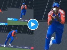Surya fantastic catch video: Surya's fantastic catch won the hearts of crores of fans, watch the viral video