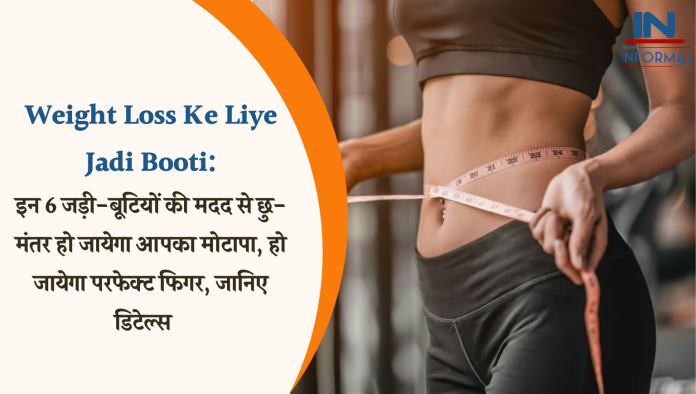 Weight Loss Ke Liye Jadi Booti: इन 6 जड़ी-बूटियों की मदद से छु-मंतर हो जायेगा आपका मोटापा, हो जायेगा परफेक्ट फिगर, जानिए डिटेल्स