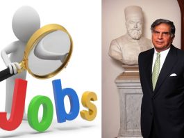 Ratan Tata's masterplan! There will be jobs galore in the country, see details here