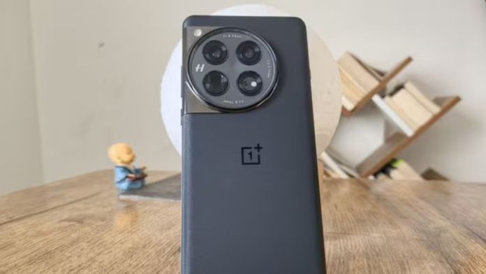 OnePlus 13