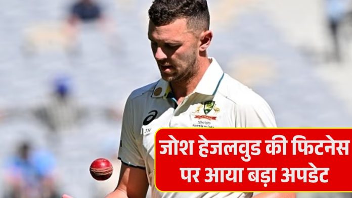 Josh Hazlewood Injury Update