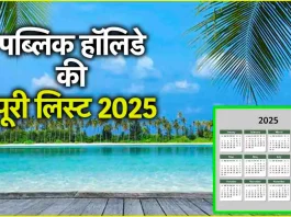 Public Holidays 2025: सरकार ने नए साल की छुट्टियों की लिस्ट की जारी, इतने दिन बंद रहेंगे स्कूल और सरकारी ऑफिस