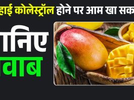 High Cholesterol and Mango