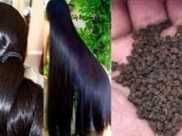 बालों में चाय की पत्ती लगाने से क्या होता है? तुरंत जान लीजिये