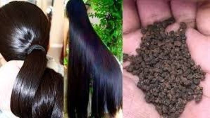बालों में चाय की पत्ती लगाने से क्या होता है? तुरंत जान लीजिये
