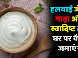 🥣 How To Make Curd at Home | हलवाई जैसा गाढ़ा और स्वादिष्ट दही घर पर कैसे जमाएं?