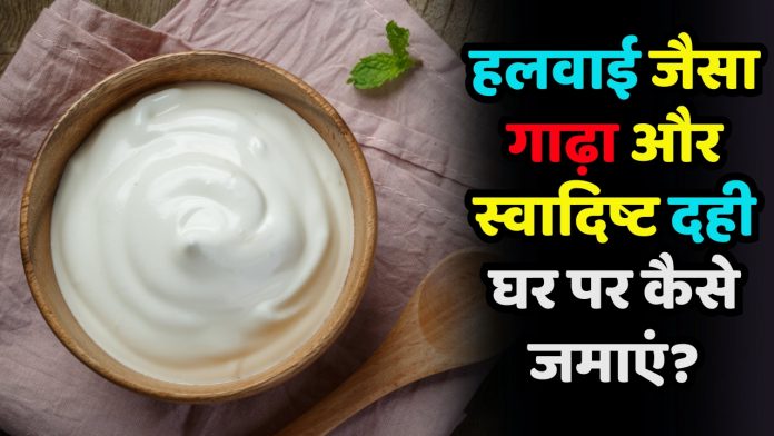 ð¥£ How To Make Curd at Home | हलवाई जैसा गाढ़ा और स्वादिष्ट दही घर पर कैसे जमाएं?