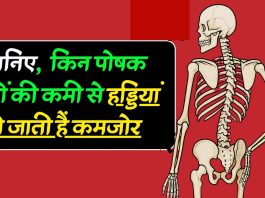 जानिए, किन पोषक तत्वों की कमी से हड्डियां हो जाती हैं कमजोर