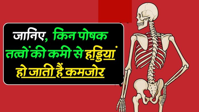 जानिए, किन पोषक तत्वों की कमी से हड्डियां हो जाती हैं कमजोर