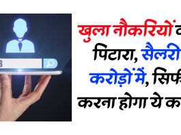 खुला नौकरियों का पिटारा, सैलरी करोड़ों में, सिर्फ करना होगा ये काम